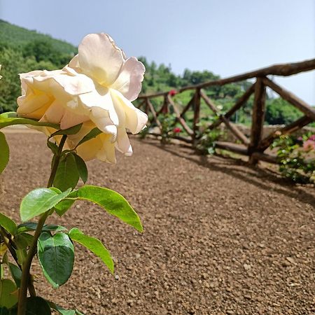 特拉蒙蒂Casale Forno Vecchio别墅 外观 照片